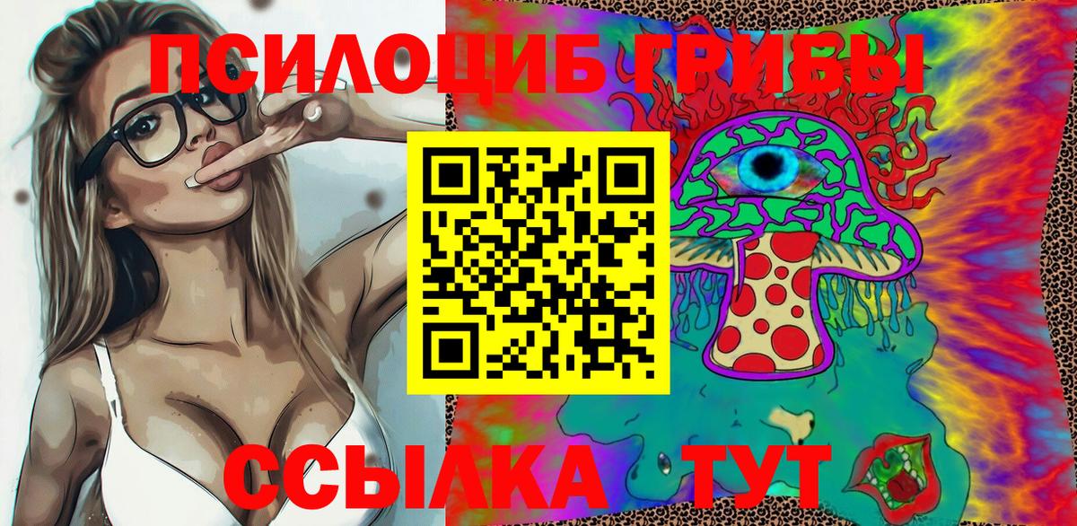 Галлюциногенные грибы GOLDEN TEACHER  сколько стоит  Чехов  Вход с VPN 