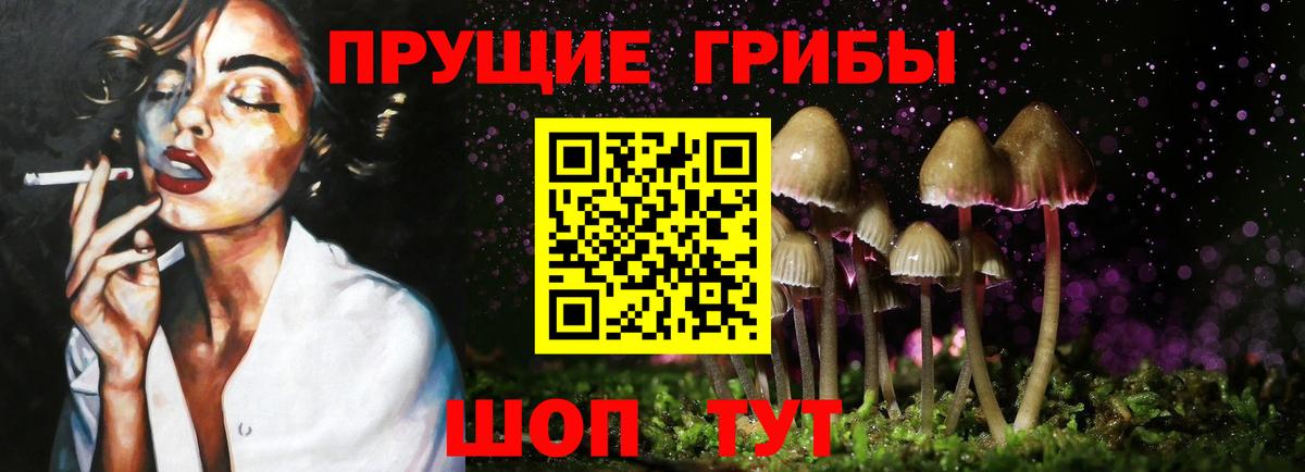 Галлюциногенные грибы Cubensis Чехов